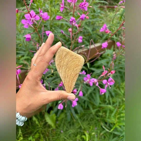 Banded Rhyolite from Alaska - Picture 2 of 5